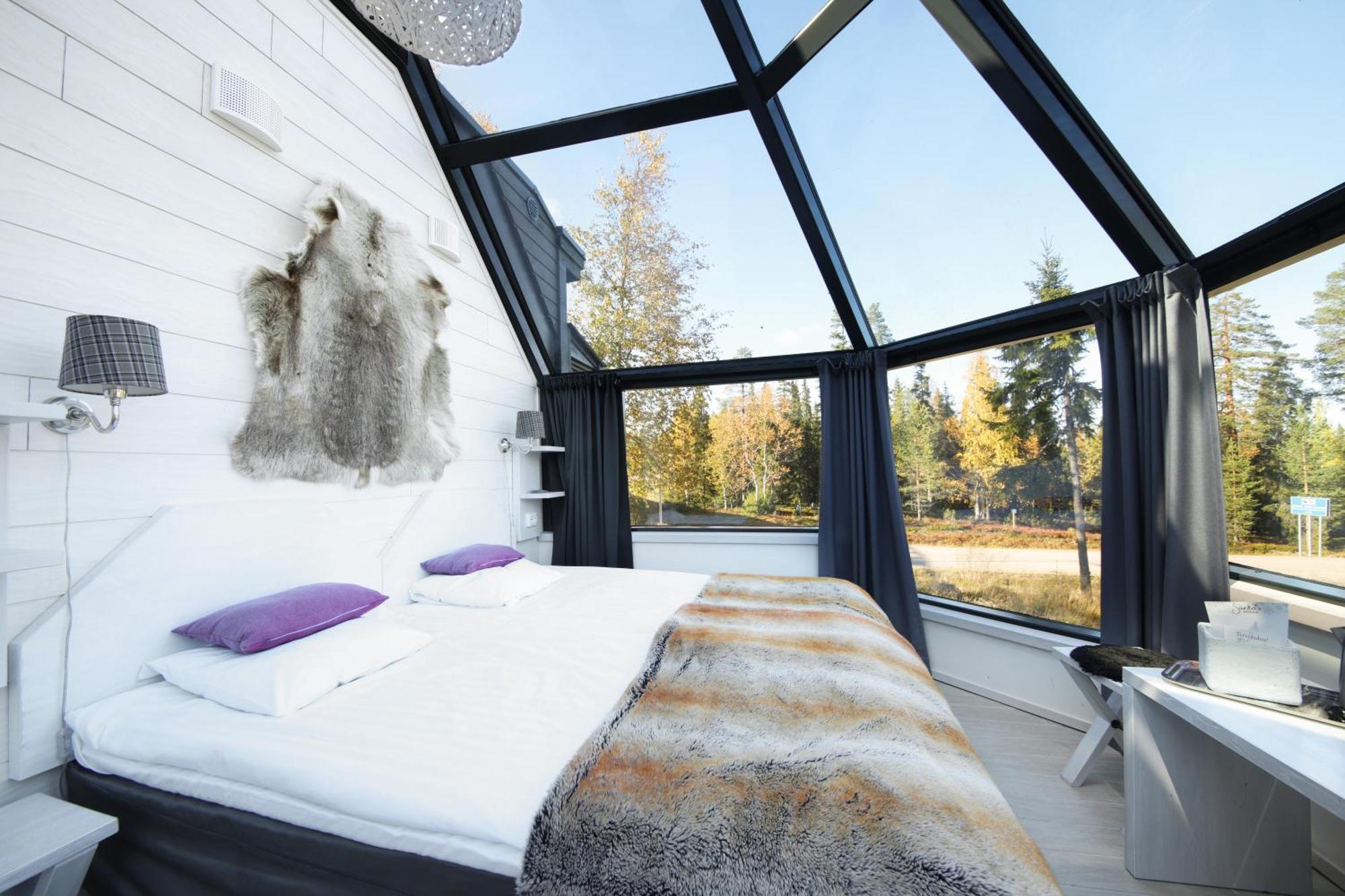Igloo Premium